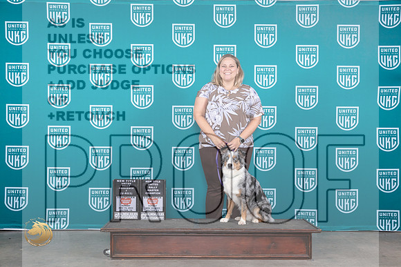 Miniature American Shepherd #109 Sat R2 Sun RM_JP_4318_UKC Belton_2023_HR3