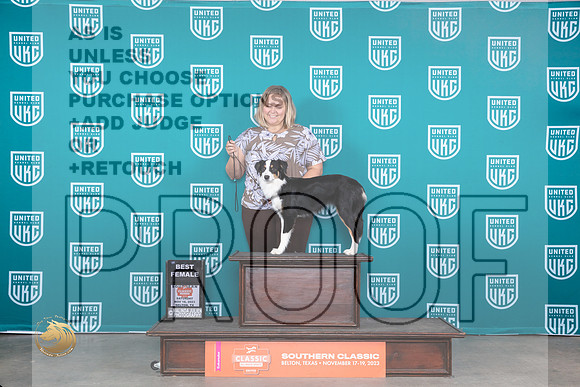 Miniature American Shepherd #117 Sat BF Judge Carianna Glenn_JP_4053_UKC Belton_2023_HR3