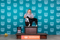Miniature American Shepherd #117 Sat BF Judge Carianna Glenn