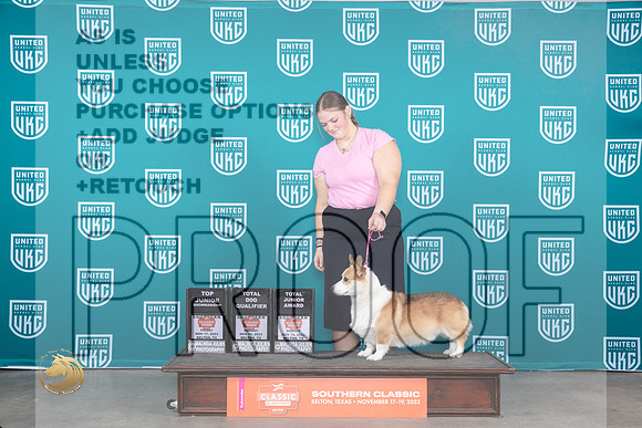 Pembroke Welsh Corgi #196 Fri TopJrTJ _JP_4023_UKC Belton_2023_HR3