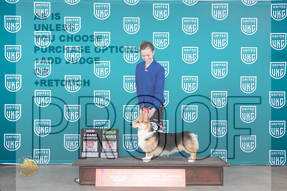 Pembroke Welsh Corgi #392 G3 Judge Nina Marie Sherrer_JP_4164_UKC Belton_2023_HR3