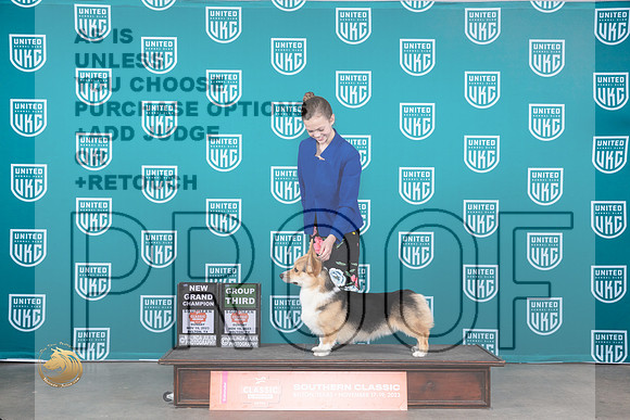 Pembroke Welsh Corgi #392 G3 Judge Nina Marie Sherrer_JP_4165_UKC Belton_2023_HR3