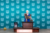 Poodle Miniature #623 Sun BJr Judge Judge Carianna Glenn