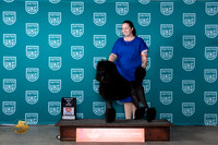 Poodle Std #203 Sun RBIS