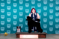 Poodle Std #361 Fri BOB Judge Judge Carianna Glenn