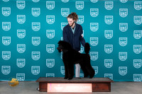 Poodle Std #464