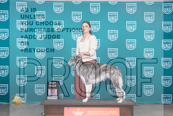 Silken Windhound #433 Sat WD Judge  Carianna Glenn_JP_3821_UKC Belton_2023_HR3