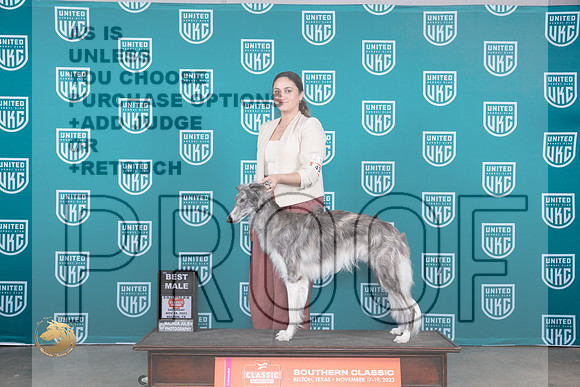 Silken Windhound #433 Sat WD Judge  Carianna Glenn_JP_3823_UKC Belton_2023_HR3