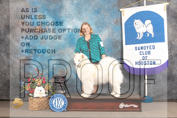 Samoyed #39 BISweepsVet Judge Tom Mauer_MJ_2817_Houston_2022_HR3