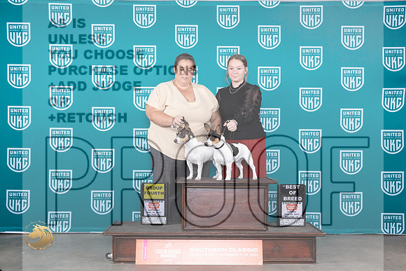 Teddy Roosevelt Terriers #365 #366_JP_4126_UKC Belton_2023_HR3