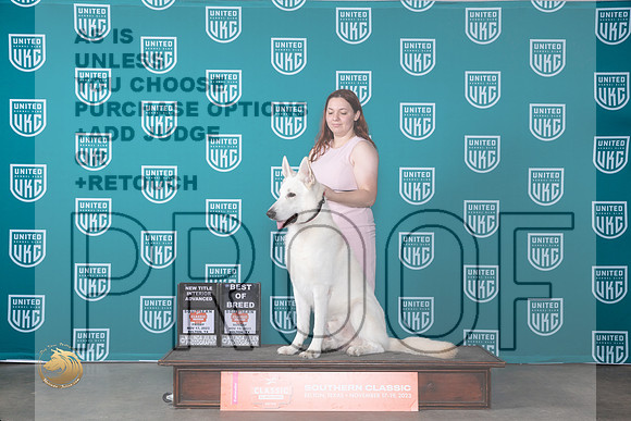 White Shepherd #444 FriSatSun BOBx6 _JP_4208_UKC Belton_2023_HR3
