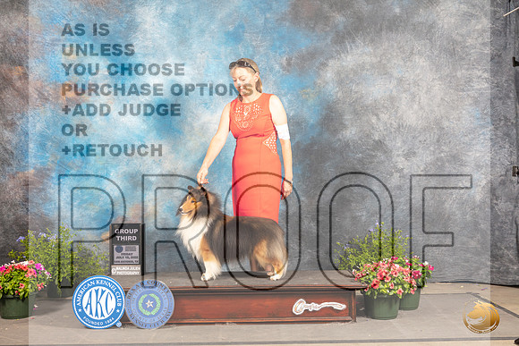 Shetland Sheepdog #19 Fri G3 Judge Allen Odom_MJ_0094_SA_2022_HR3
