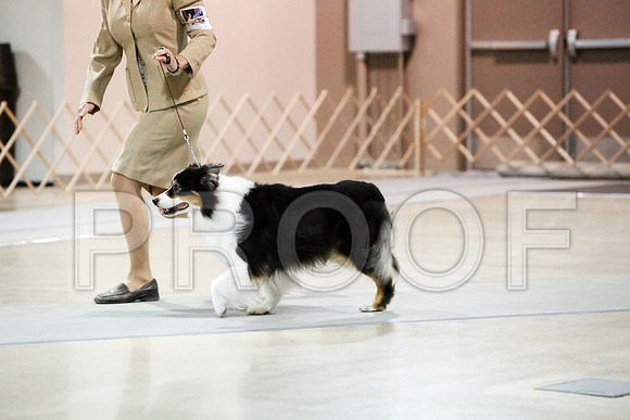 _RH_2385-ASCACollegeStationNov2014-HR3