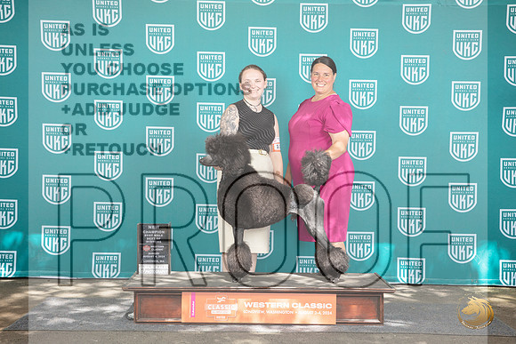 Poodle Standard #113 Sun NCh BOW Judge Kevin Carroll__JP_1773_Longview WA_2024_HR3