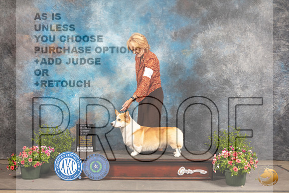 Pembroke Welsh Corgi #5 Sun OHG1 Judge Allen Odom_MJ_1505_SA_2022_HR3
