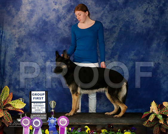 GSD-9291-NormNov13-HR