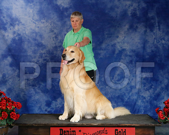 Sylvia-4715-WFOct2013-HR