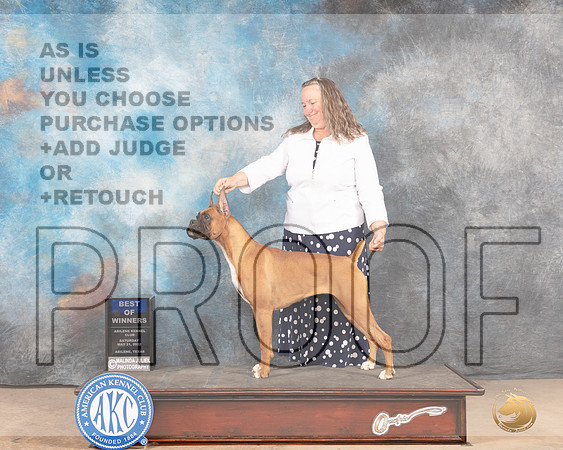 Boxer #10 Sat BOWWB Judge Terri Houston-MMJ_4197-Abilene2022-HR3