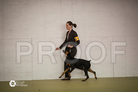 Dobe-7441-HtoJan14-HR