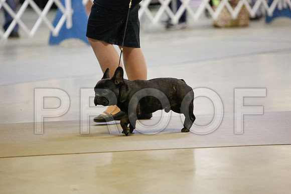 _JN_7512-AmarilloSept2014-HR3