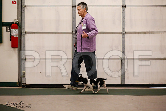 _JN_8884-NrmnNov2014-HR3