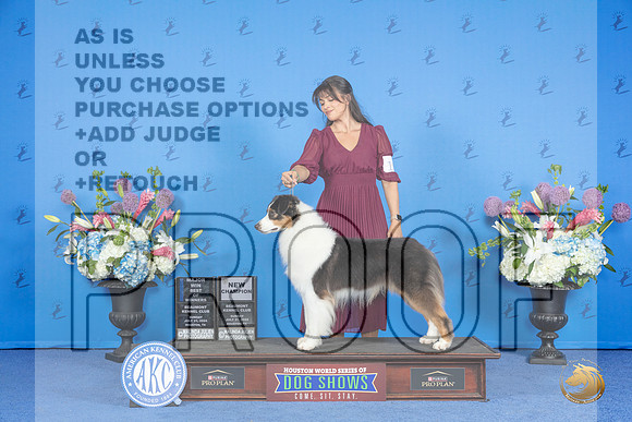 Australian Shepherd #17 SUN WD BOW NC M Judge James Moses__JP_0420_Houston_2024_HR3