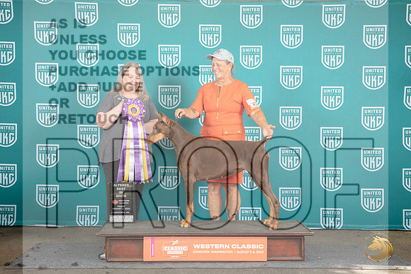 Doberman Pinscher #365 Fri RBIS Malinda Julien__JP_1244_Longview WA_2024_HR3