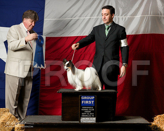 _ST_1542-AmarilloSep2014-HR3