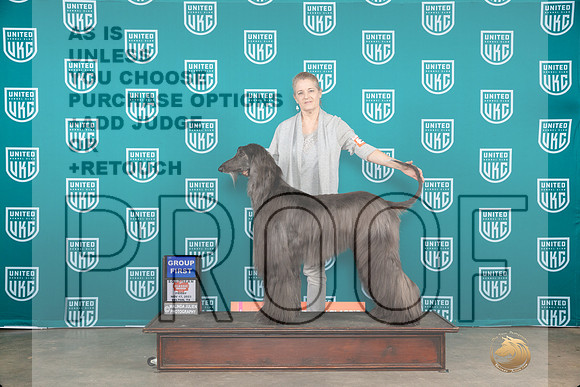 Afghan Hound #321 Fri1 G1 Judge Polly Drake Jones__JP_2927_UKCBelton2023-HR3