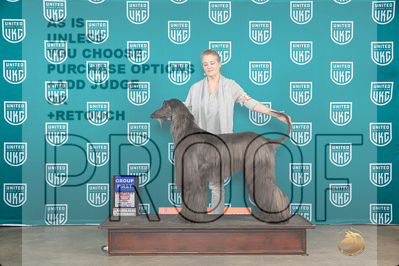 Afghan Hound #321 Fri1 G1 Judge Polly Drake Jones__JP_2928_UKCBelton2023-HR3
