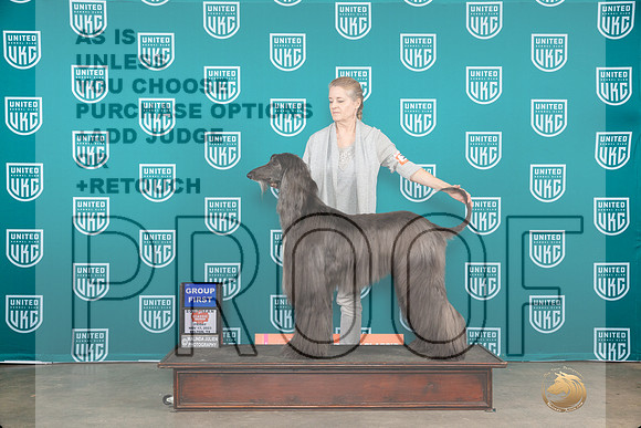 Afghan Hound #321 Fri1 G1 Judge Polly Drake Jones__JP_2936_UKCBelton2023-HR3