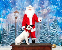 American Bulldog Judge Polly Drake Jones Santa