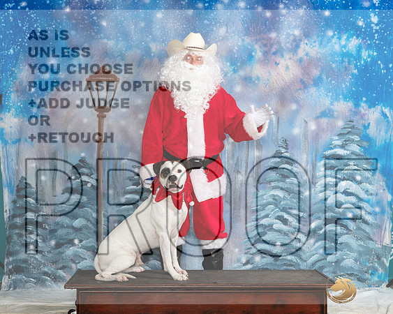 American Bulldog Judge Polly Drake Jones Santa__JP_3161_UKCBelton2023-HR3