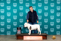 American Bully #344 Fri BOW Judge Carianna Glenn
