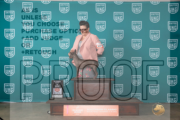American Hairless Terrier #207 Sun ABIS Judge Carianna Glenn__JP_4262_UKCBelton2023-HR3