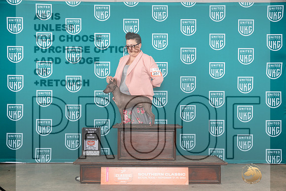 American Hairless Terrier #207 Sun ABIS Judge Carianna Glenn__JP_4264_UKCBelton2023-HR3
