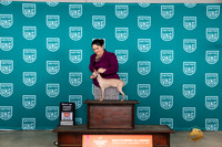 American Hairless Terrier #500 Sat PBOB Judge Nina Marie Sherrer