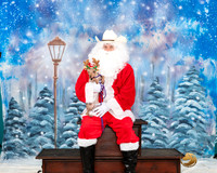 American Hairless Terrier Keely Santa