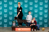 American Pit Bull Terrier #208 Sat G3 Judge Nina Marie Sherrer