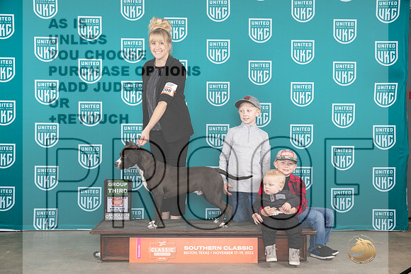 American Pit Bull Terrier #208 Sat G3 Judge Nina Marie Sherrer__JP_3533_UKCBelton2023-HR3