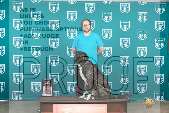 Anatolian Shepherd #149 Sat RM __JP_3487_UKCBelton2023-HR3