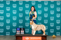 Australian Shepherd #399 Sat2 G1 Judge Antonio Raposo