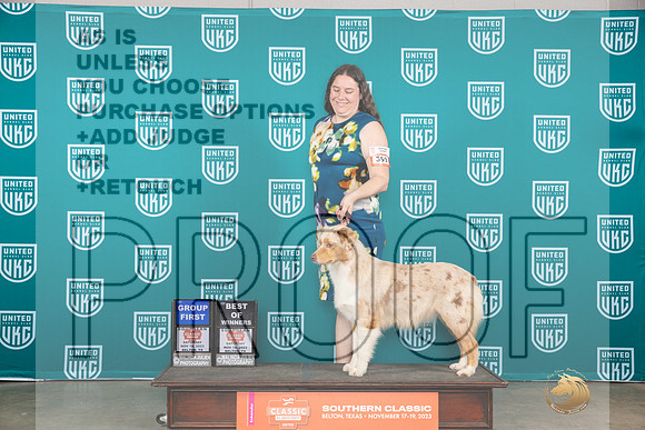 Australian Shepherd #399 Sat2 G1 Judge Antonio Raposo__JP_3681_UKCBelton2023-HR3