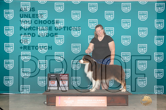 Australian Shepherd #409 Sun BOBCHG2 Judge Joseph Gubry__JP_4170_UKCBelton2023-HR3