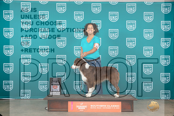 Australian Shepherd #425 Sun WDBOW Judge Nina Marie Sherrer__JP_3922_UKCBelton2023-HR3