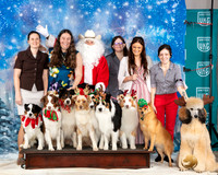 Australian Shepherds Sat Santa