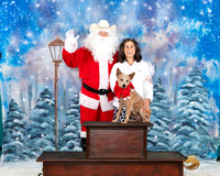 Australian Stumpy Tail Cattle Dog #250 Santa
