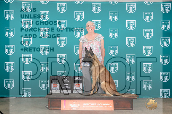 Belgian Malinois #124 FriSatSun CHRO1 __JP_4087_UKCBelton2023-HR3