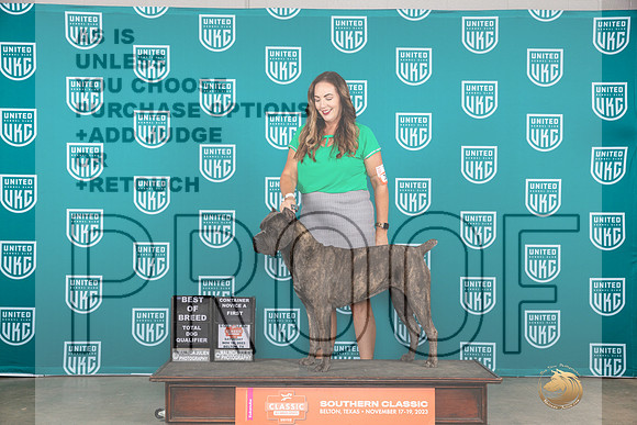 Cane Corso #367 Sat BOBTD Judge Nina Marie Sherrer__JP_3713_UKCBelton2023-HR3