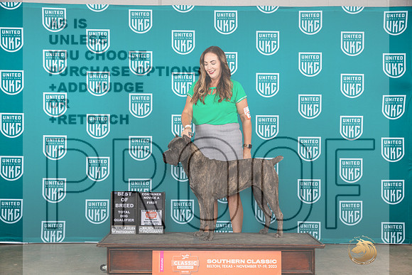 Cane Corso #367 Sat BOBTD Judge Nina Marie Sherrer__JP_3715_UKCBelton2023-HR3